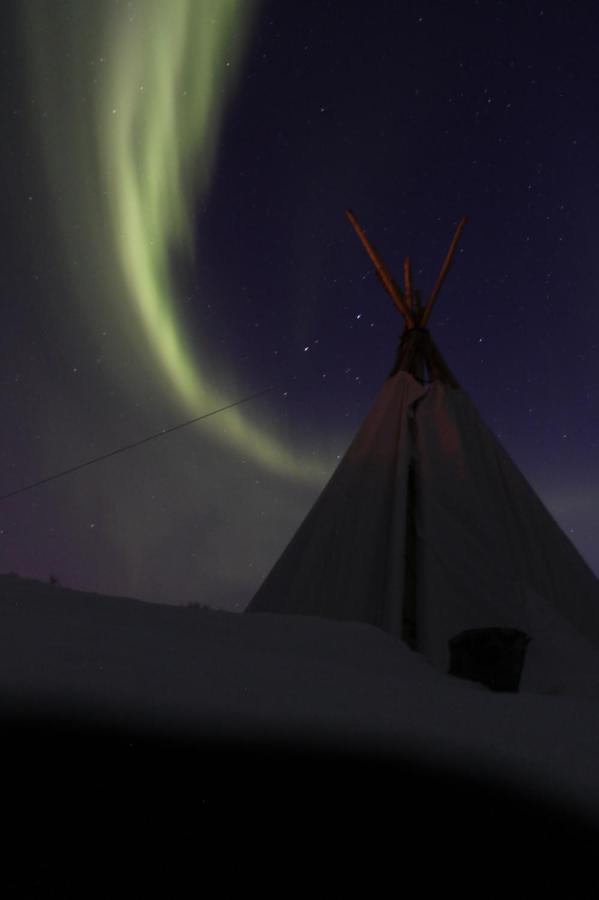 Lofoten Camp Stamsund Exterior foto